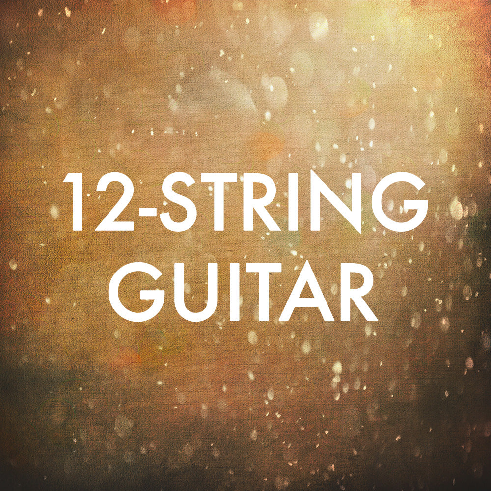 12-String Guitar
