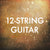 12-String Guitar