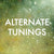 Alternate Tunings