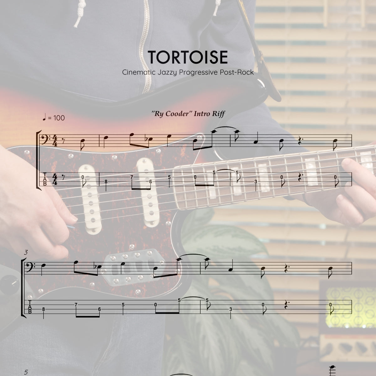 TORTOISE