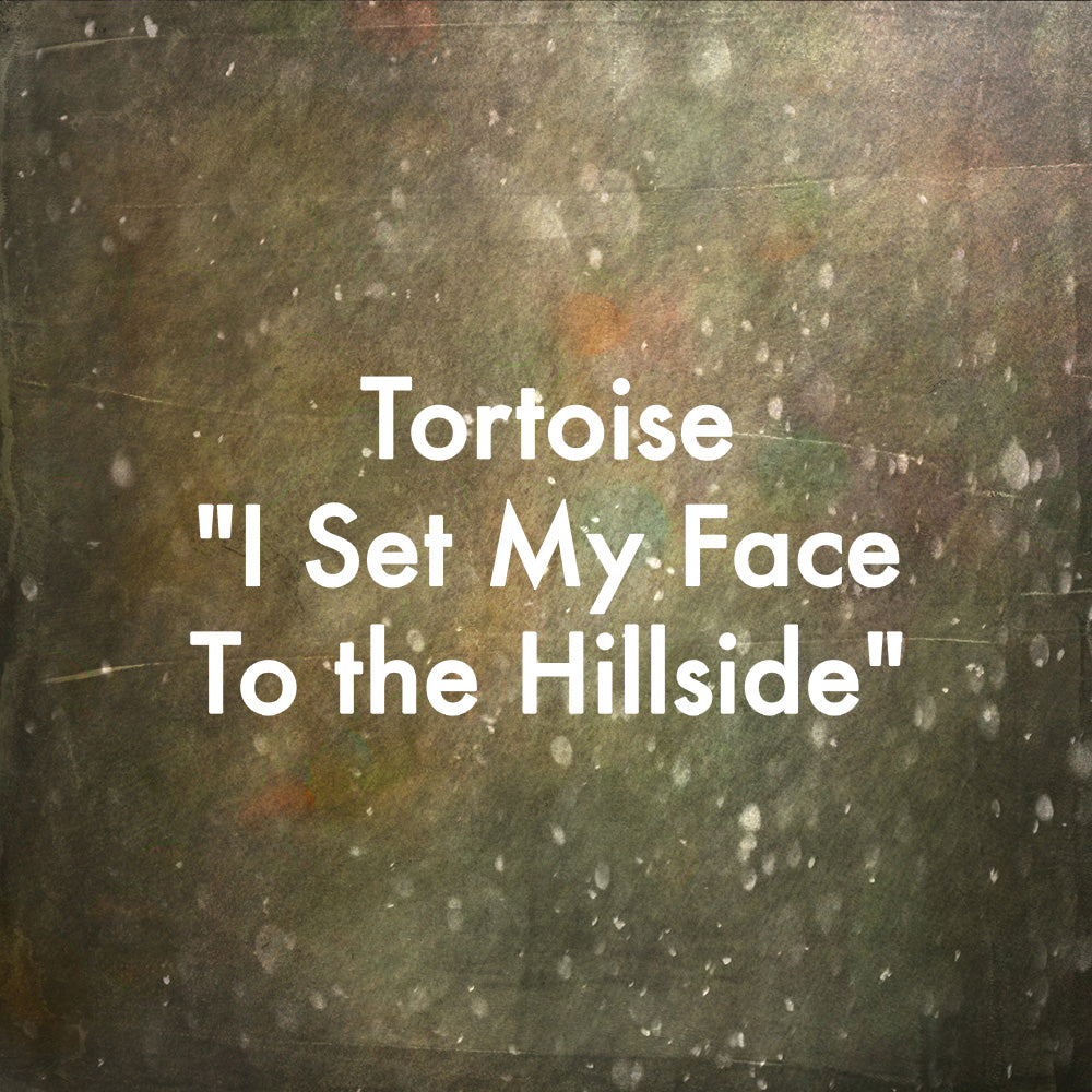 Tortoise &quot;I Set My Face to the Hillside&quot;